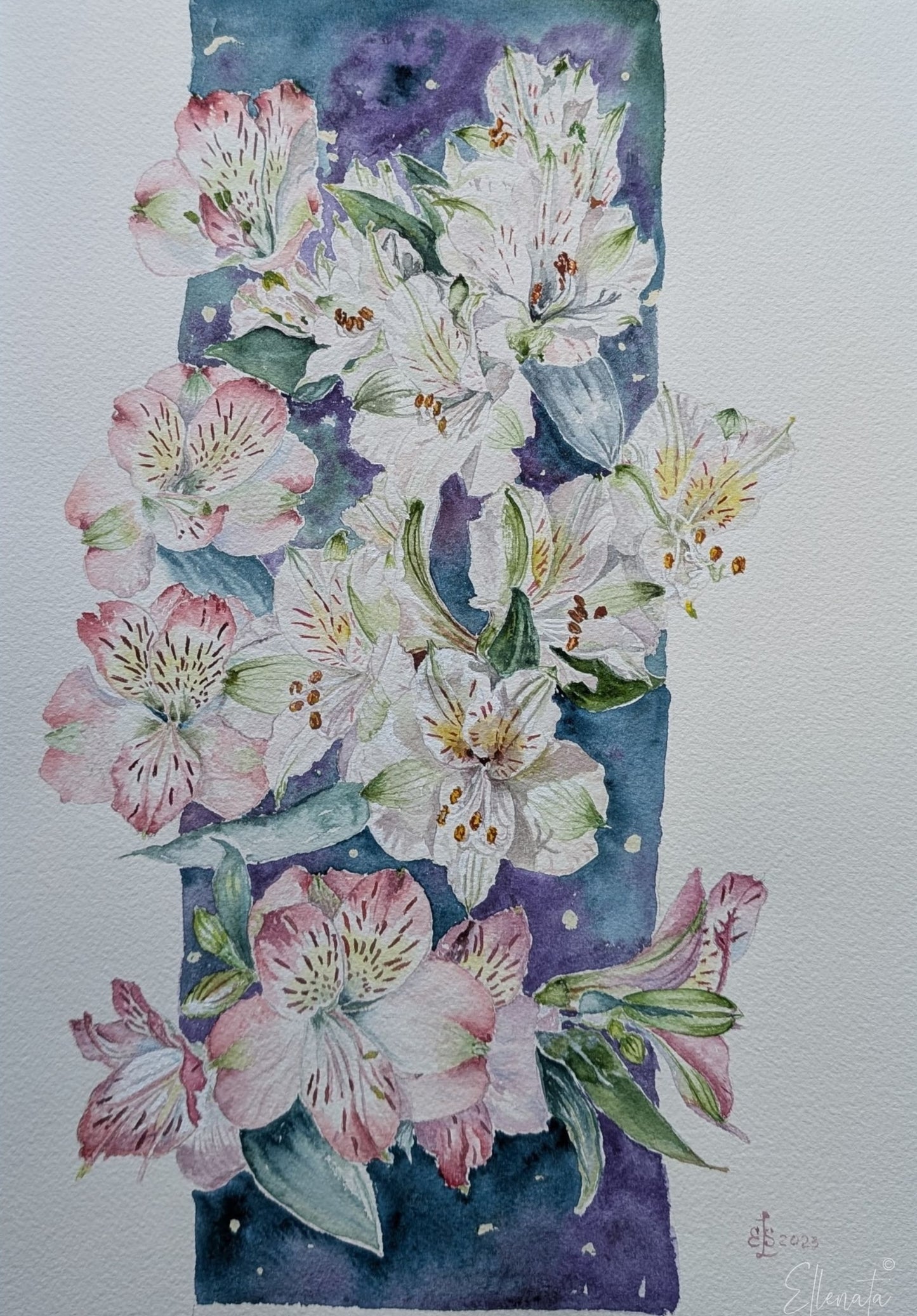 Moonlit Alstroemerias