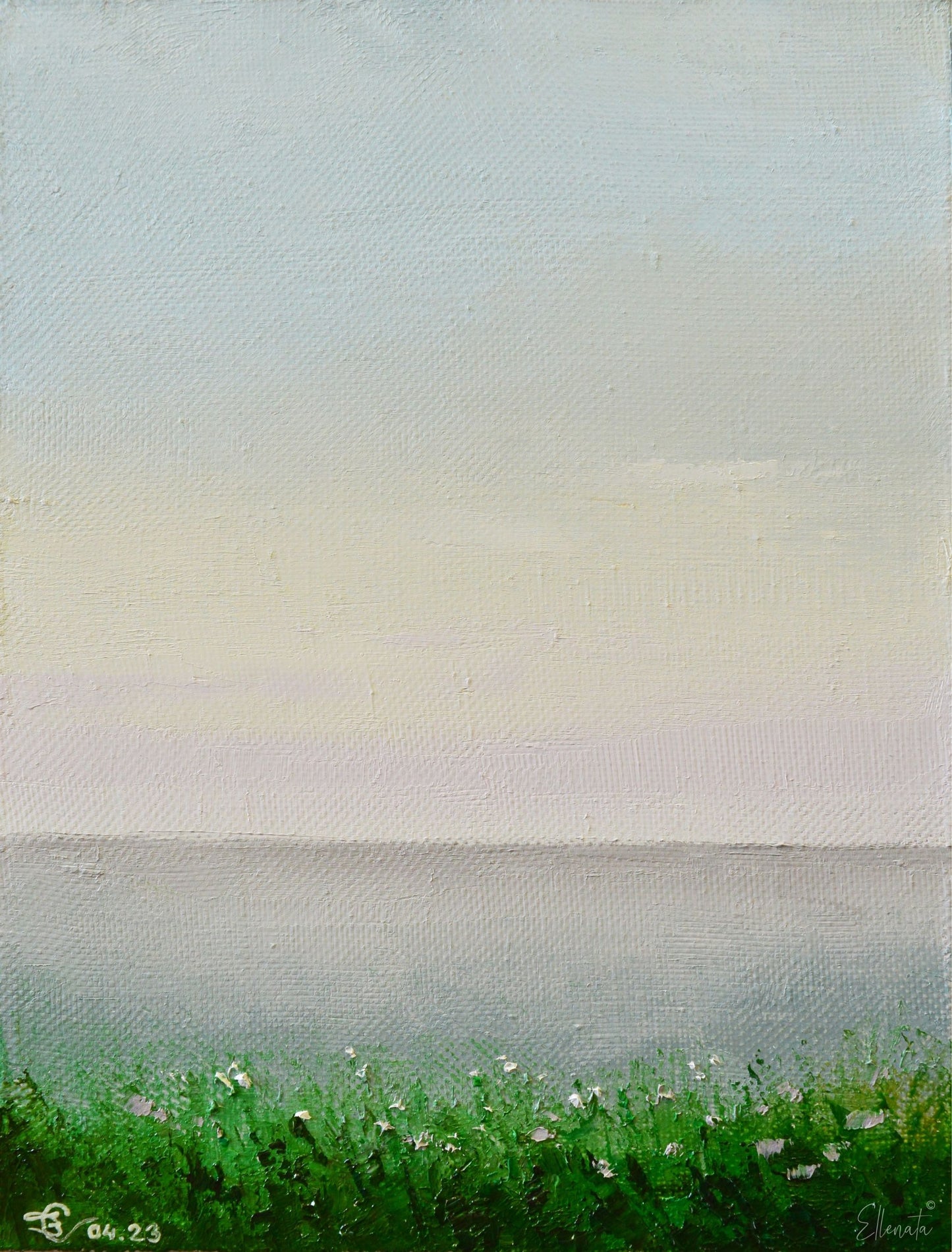 Soft Horizon