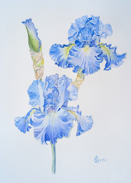 Azure Breeze