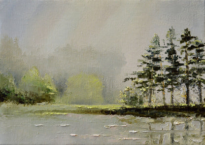 Pines in the Mist